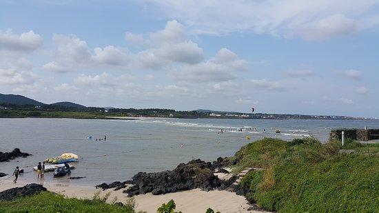 Jeju Sea Reul Bon Pig